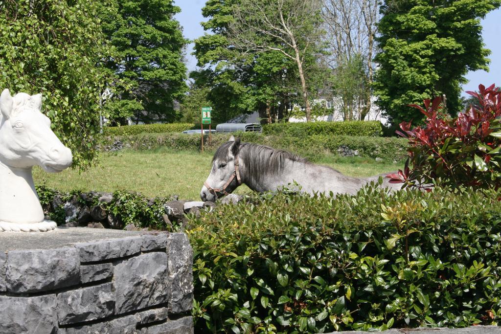 Carrowntober House B & B Oughterard Exterior photo
